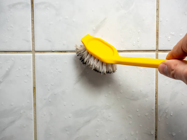 Best Affordable Mold Removal  in Hollis, OK