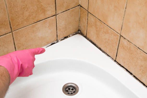 Best Mold Testing  in Hollis, OK